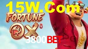 Tournaments 3800Bet