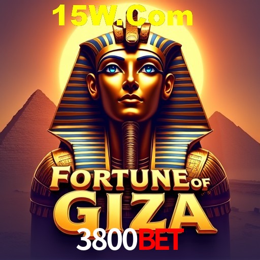 Descubra o Mundo do Cassino Online com 3800Bet